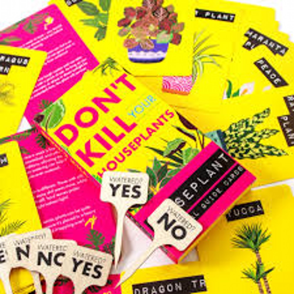 Dont kill your houseplants