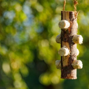 Wooden Feeder With Insect Oil Logs