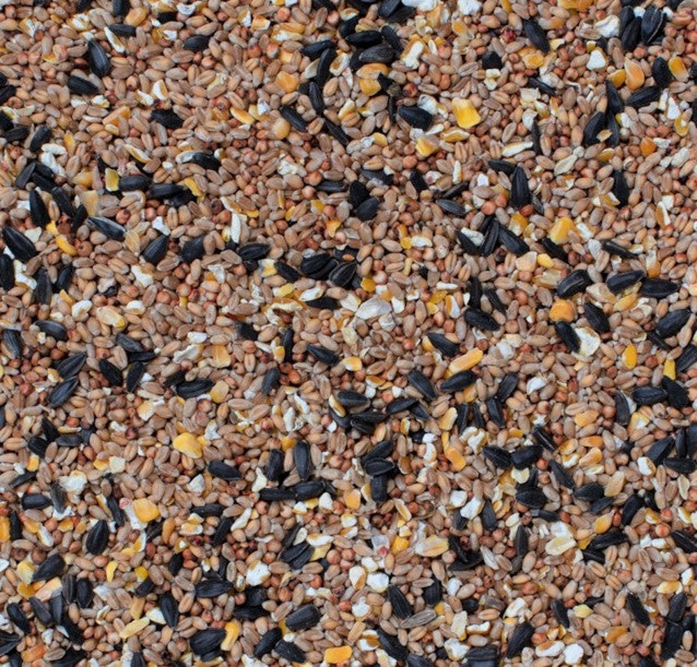 Hb Superior Seed Mix 2Kg - Image 2