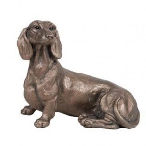 Rififi Smooth Coated Dachshund