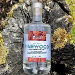 Pinewood Conservation Gin
