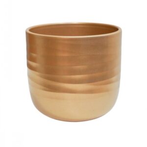Poinsettia Ripple Gold Planter H12.5cm D15cm