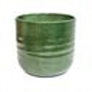 Poinsettia Ripple Green Planter H10cm D12.5cm