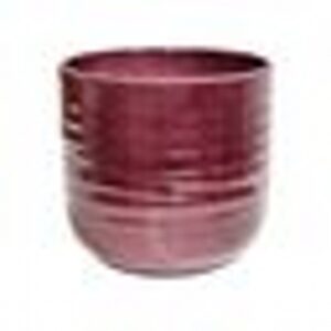 Poinsettia Ripple Red Planter H12.5cm D15cm