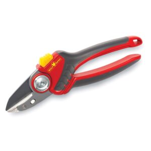 Anvil Secateurs