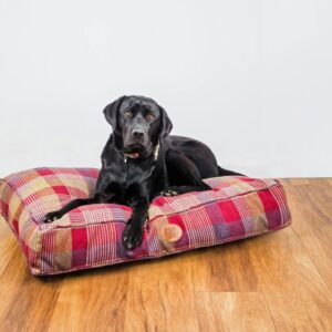 Highland Mulberry Lounger Cushion.