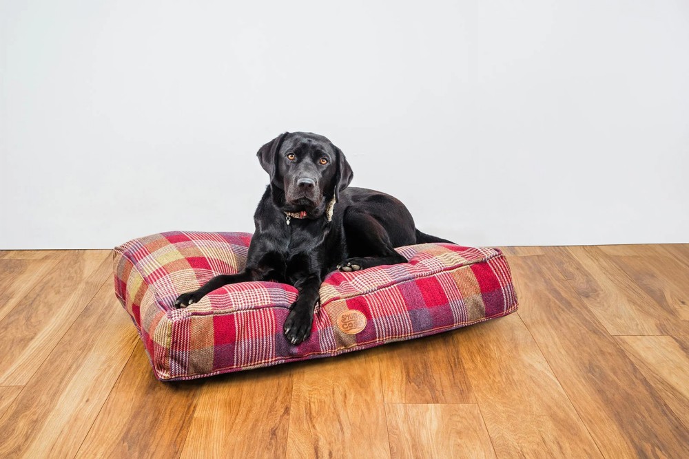 Highland Mulberry Lounger Cushion.