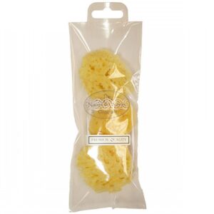 Premium Qualtiy Sponge Set