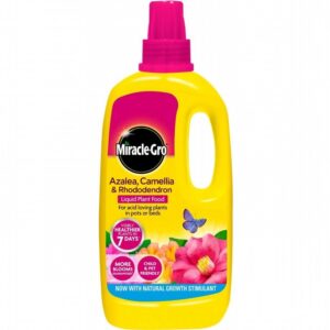 M-G Acr Conc 800ml