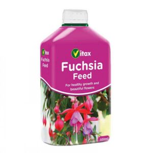 Fuchsia Feed