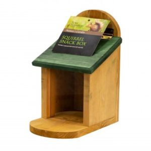 Squirrel Snack Box