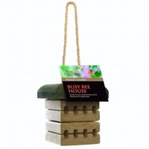 Busy Bee House
