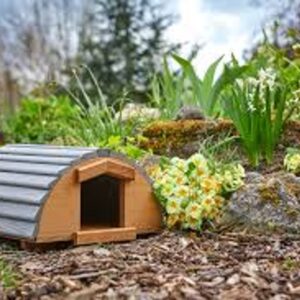 Vermont Hedgehog House