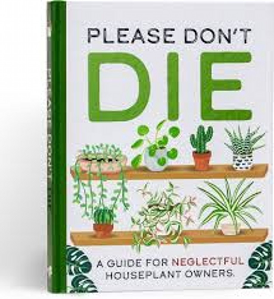 Please dont die - houseplants