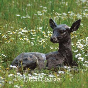 DEER - FAWN