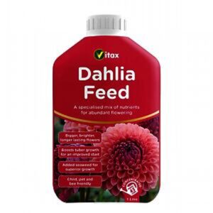 Liquid Dahlia Feed