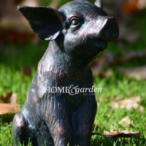 Piglet Sitting